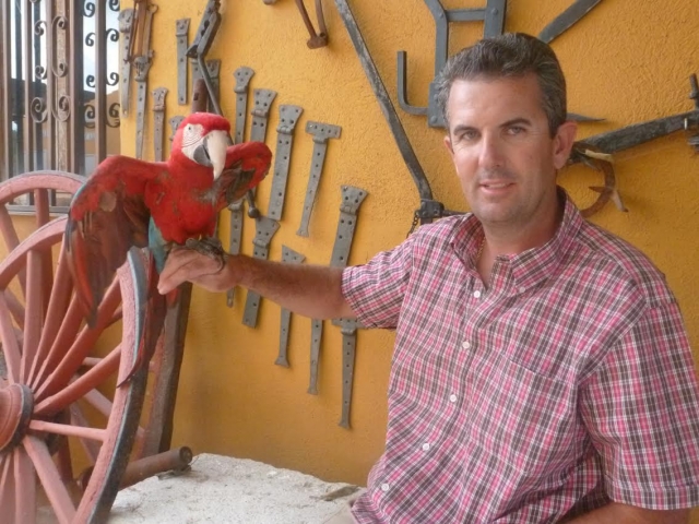  Taking pictures with the macaw 